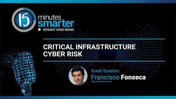 Critical Infrastructure Cyber Risk