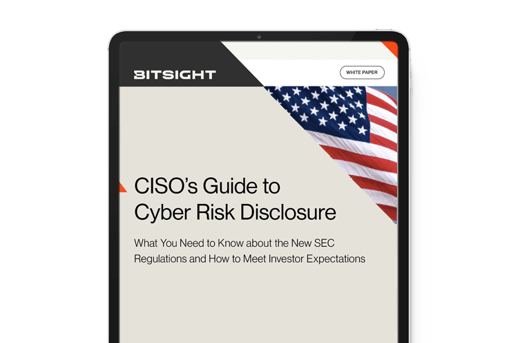CISOs Guide to Cyber Risk Disclosure - SEC