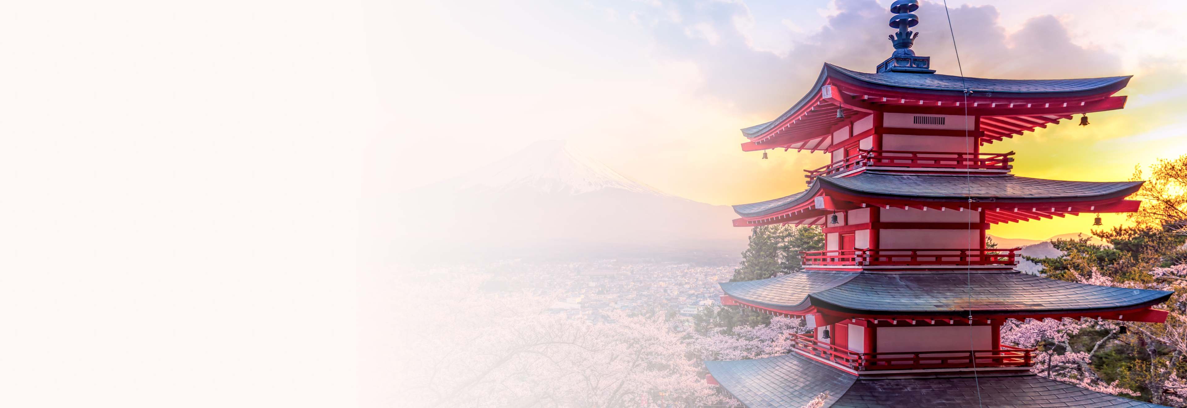 Tokyo hero image