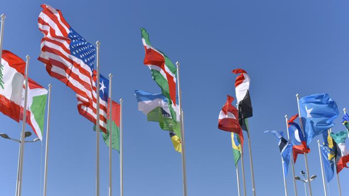 world flags-global regulations-tprm