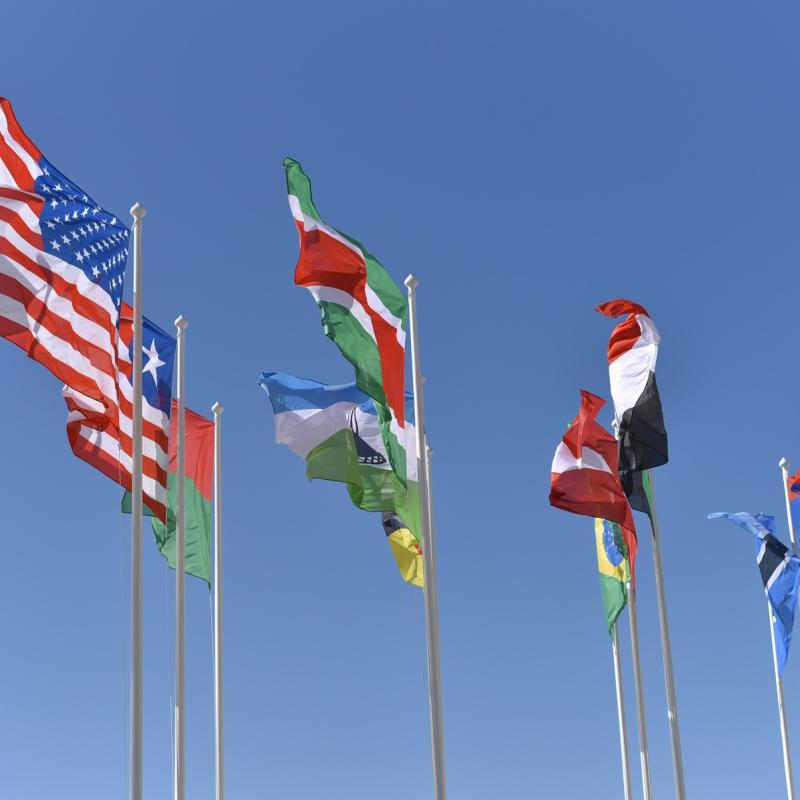 world flags-global regulations-tprm