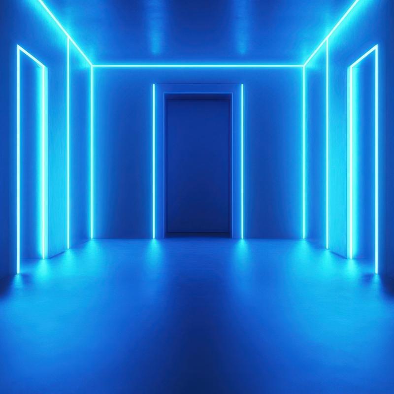 ai vulnerability door