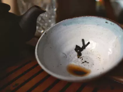 Tea leaves in a cup, representing that you need to interpret information
