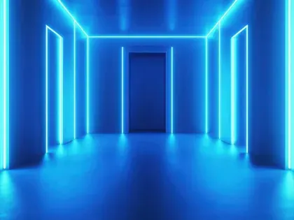 ai vulnerability door