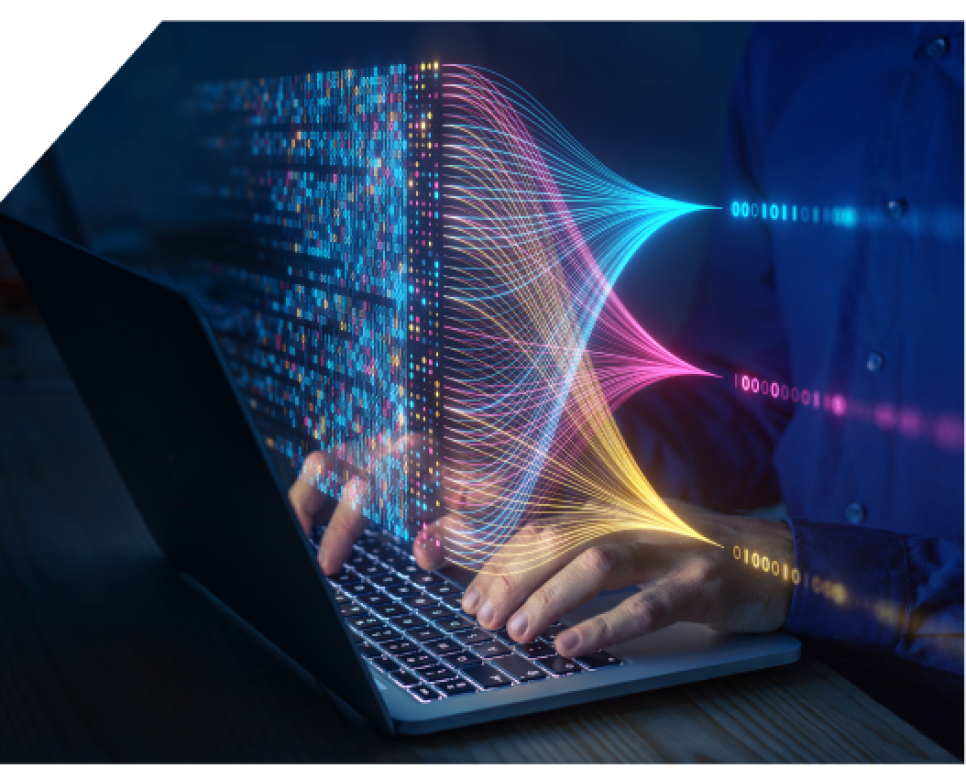 Bitsight Instant Insights