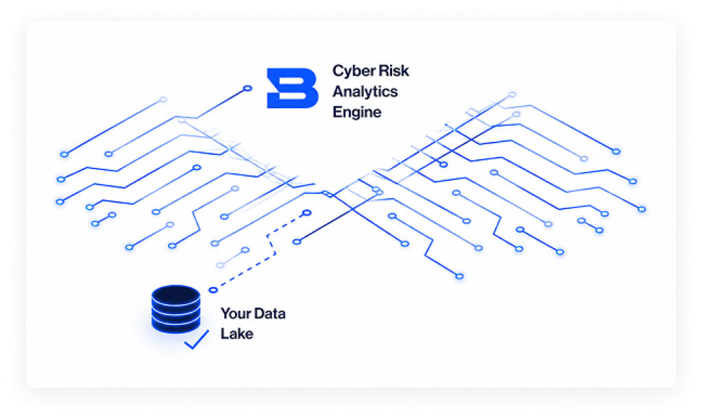 In Bitsight Products