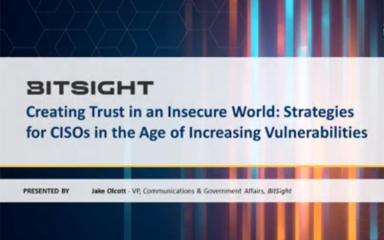 Managing Your Organization's Attack Surface: CISO Strategies in the Age of Increasing Vulnerabilities