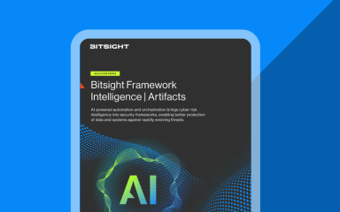 Bitsight framework intelligence cover