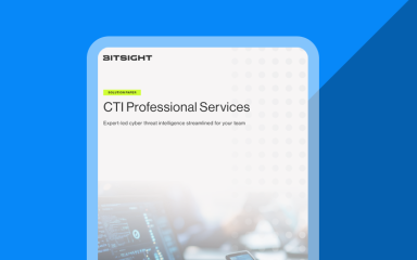 Cyber Threat Intelligence Professional Services datasheet