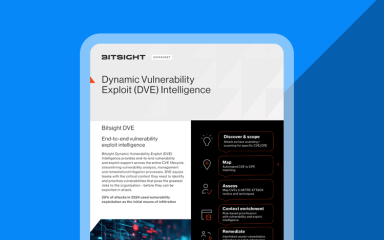 Dynamic Vulnerability Exploit DVE Int cover