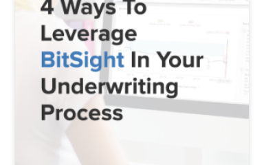 4 WAYS TO LEVERAGE BITSIGHT IN THE CYBER INSURANCE UNDERWRITING PROCESS